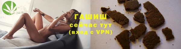 гидра Арсеньев