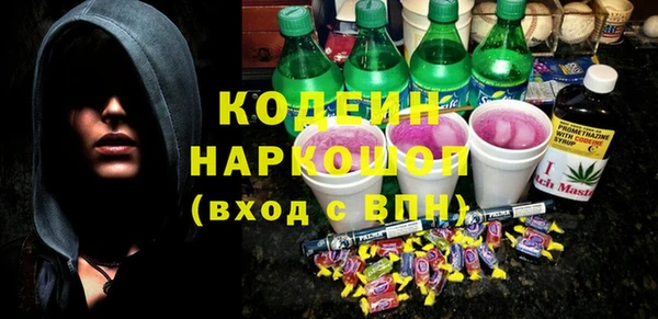гидра Арсеньев