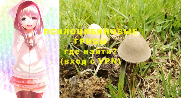 прущая мука Армянск