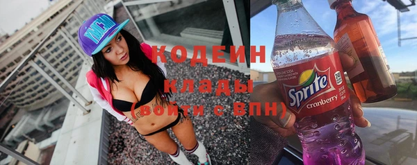 ГАЛЛЮЦИНОГЕННЫЕ ГРИБЫ Аркадак