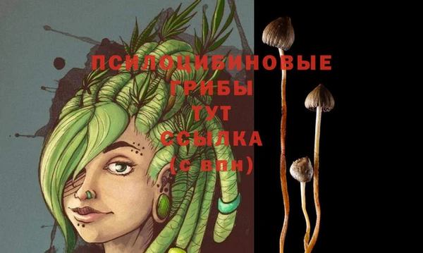 гидра Арсеньев