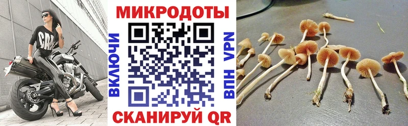 omg   Рыбинск  Галлюциногенные грибы мицелий  сколько стоит 